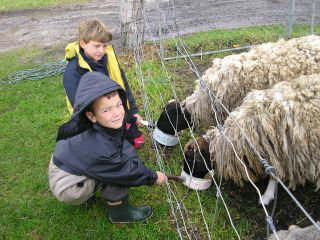 Meerup Springs Farmstay - Goulburn Accommodation 3