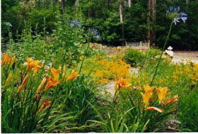 Warren River Cottages - Goulburn Accommodation 1