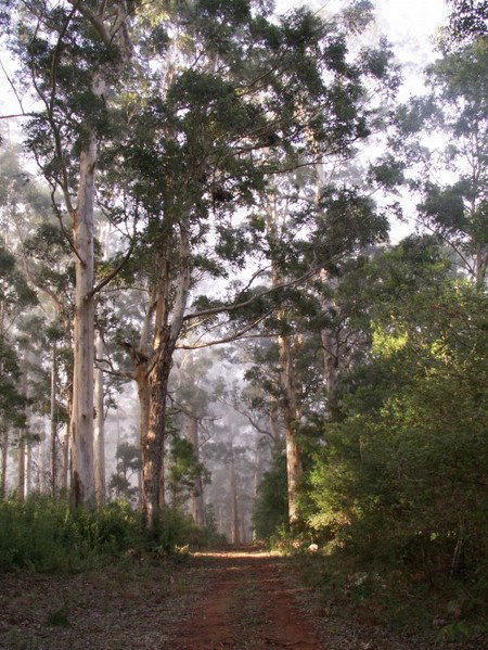 Warren River Cottages - Goulburn Accommodation 2