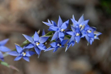 Warren River Cottages - Goulburn Accommodation 3