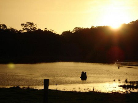 Diamond Tree Farm Stay - Goulburn Accommodation 4