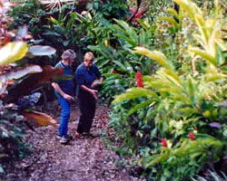 Milkwood Lodge - Goulburn Accommodation 1