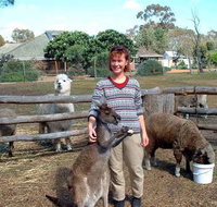 Kemminup Farm - Goulburn Accommodation