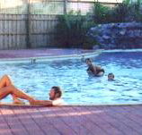 Shark Bay Caravan Park - Goulburn Accommodation