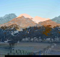 Barney Creek Vineyard Cottages - Goulburn Accommodation
