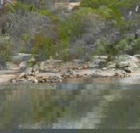 Boondi Rock Camp at Goldfields Woodlands National Park - Goulburn Accommodation