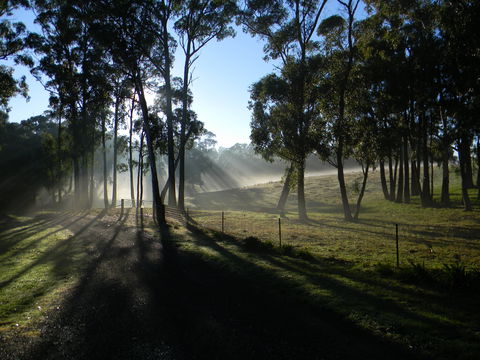 Cygnet Park Country Retreat - Goulburn Accommodation 2