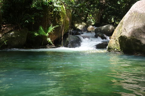 Daintree Secrets Rainforest Sanctuary - Goulburn Accommodation 0