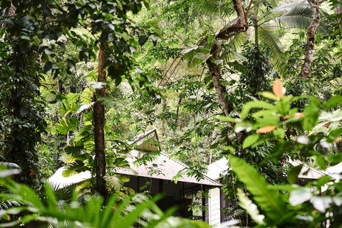Daintree Ecolodge - Goulburn Accommodation 0