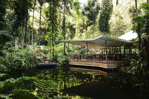 Daintree Ecolodge - Goulburn Accommodation 1