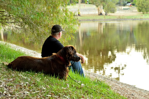 Diamond Forest Farm Stay - Goulburn Accommodation 2