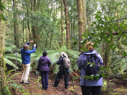 Forest Walks Lodge - Eco-Accommodation - Goulburn Accommodation 1