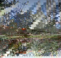 Giants' Table and Cottages - Goulburn Accommodation