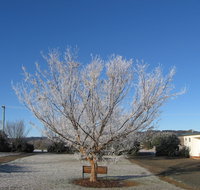 Nowendoc Country Motel - Goulburn Accommodation