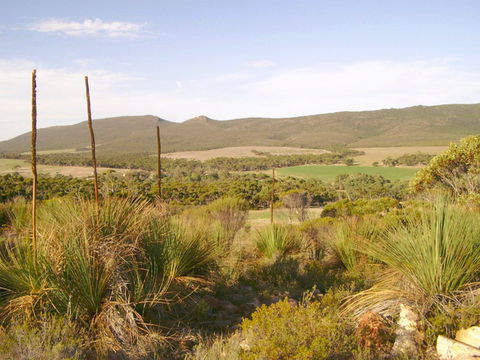 Nyroca Campsite & Group Accommodation - Goulburn Accommodation 0
