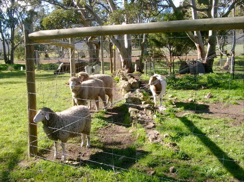 Nyroca Campsite & Group Accommodation - Goulburn Accommodation 2