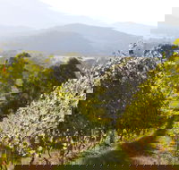 Rosetta's Garden Guesthouse - Goulburn Accommodation