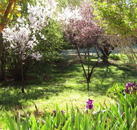 Sofala Cottage - Goulburn Accommodation