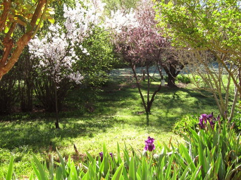 Sofala Cottage - Goulburn Accommodation 0