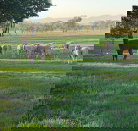 Wallinga Studio Farmstay - Goulburn Accommodation