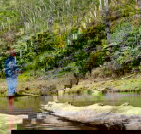 Bass Lodge - Goulburn Accommodation