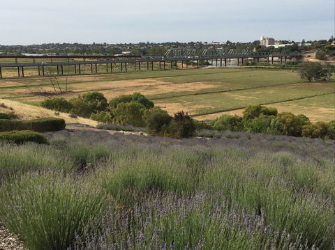 Brayfield Cottage - Goulburn Accommodation 0