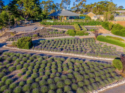 Brayfield Cottage - Goulburn Accommodation 1