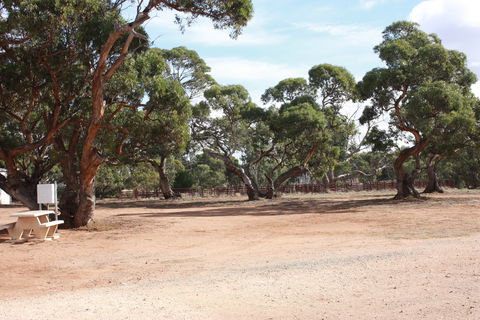 Cleve Showgrounds RV Park - Goulburn Accommodation 1
