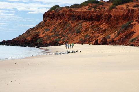 South Gregories Camp At Francois Peron National Park - Goulburn Accommodation 0