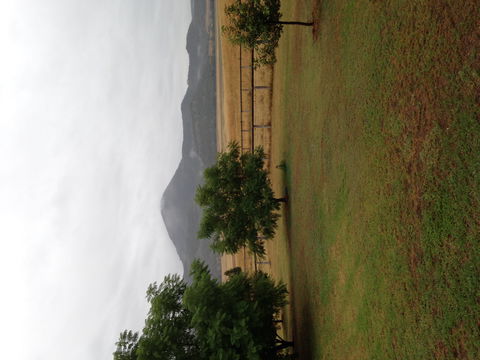 The Old Dairy At Baerami - Goulburn Accommodation 2