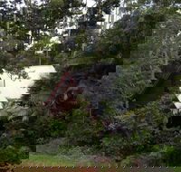 Turkeys Nest Rainforest Cottages Mt Glorious - Goulburn Accommodation