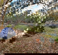 Woolpress Bend campground - Goulburn Accommodation