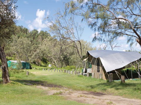 Pebbly Beach Campground - Yuraygir National Park - Goulburn Accommodation 0