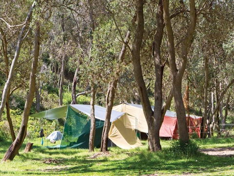Pebbly Beach Campground - Yuraygir National Park - Goulburn Accommodation 1
