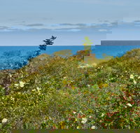 Preston Beach Front Apartment - Goulburn Accommodation