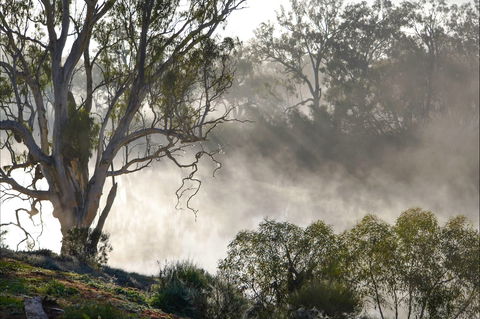 River Boat Road Cadell -River Shack Rentals - Goulburn Accommodation 1