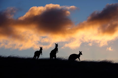 Sky House LifeTime Private Retreats - Goulburn Accommodation 1
