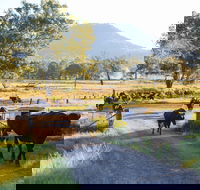 Tommerups Dairy Farmstay - Goulburn Accommodation