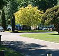 Mitchell Gardens Holiday Park - Goulburn Accommodation