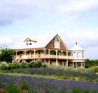 Serendipity Lavender Farm - Goulburn Accommodation