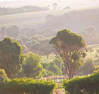 Mackas Farm - Goulburn Accommodation
