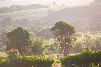Mackas Farm - Goulburn Accommodation 0