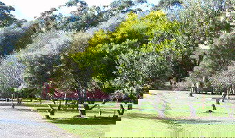 Otways Tourist Park - Goulburn Accommodation 0