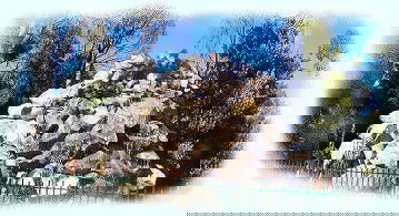 Otways Tourist Park - Goulburn Accommodation 3