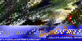 Otways Tourist Park - Goulburn Accommodation 4