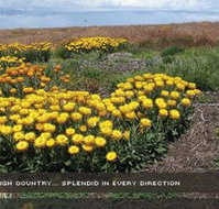 Alpine View Apartments - Goulburn Accommodation