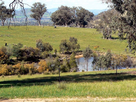 Gaddleen Grove Cottages - Goulburn Accommodation 3