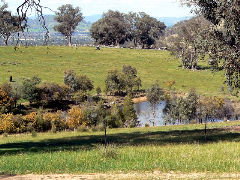 Gaddleen Grove Cottages - Goulburn Accommodation 5