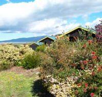 Black Cockatoo Cottages - Goulburn Accommodation