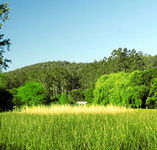 Waterholes Guest House - Goulburn Accommodation